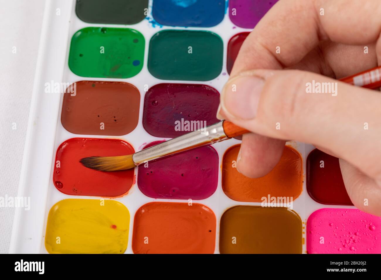 Set of watercolor paints and synthetic brushes for painting. Drawing process Stock Photo Alamy