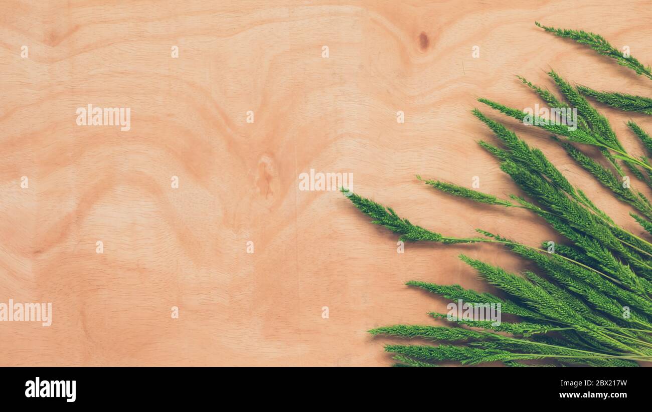Top view of whet crop on wooden table background. Stock Photo