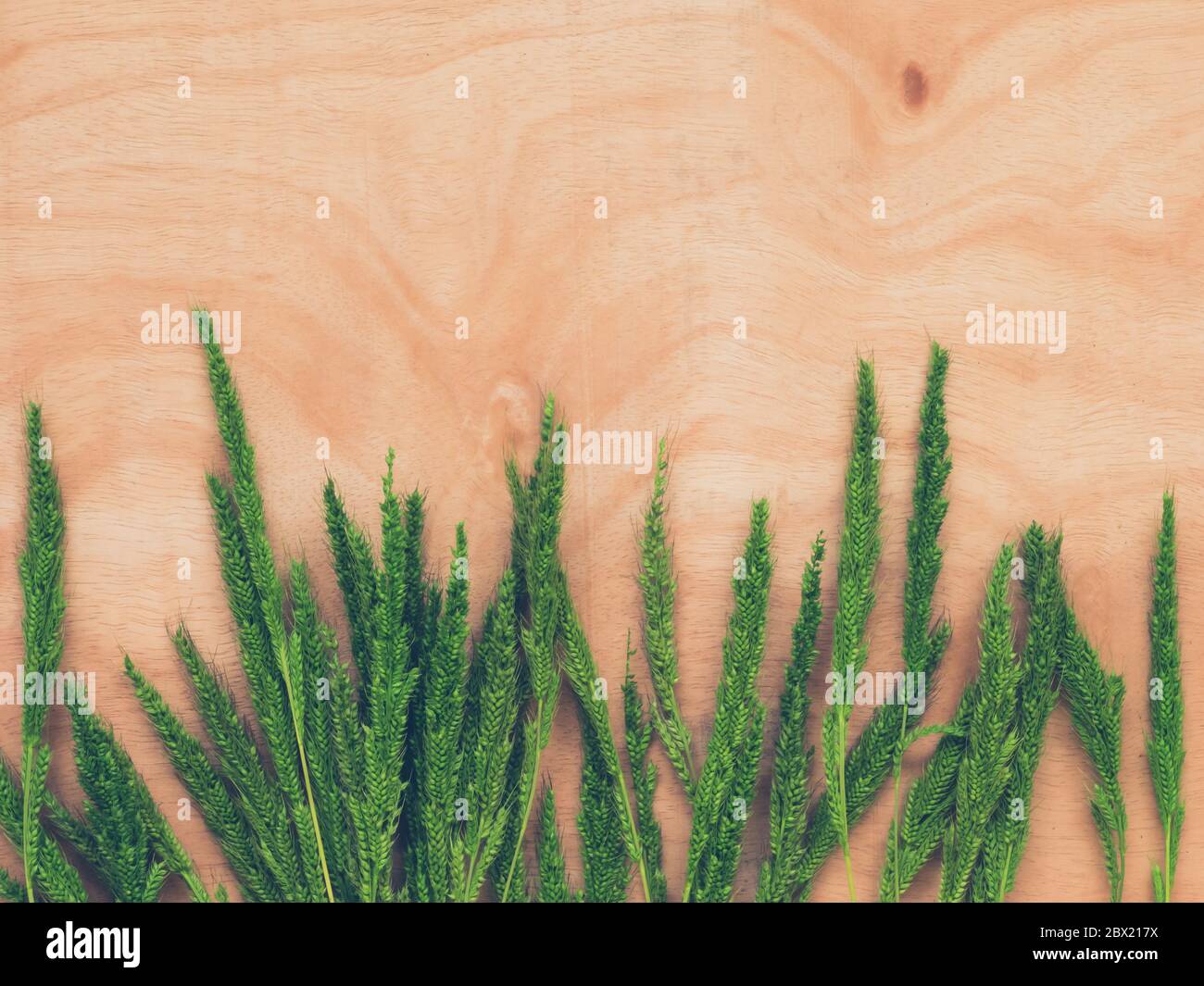 Top view of whet crop on wooden table background. Stock Photo