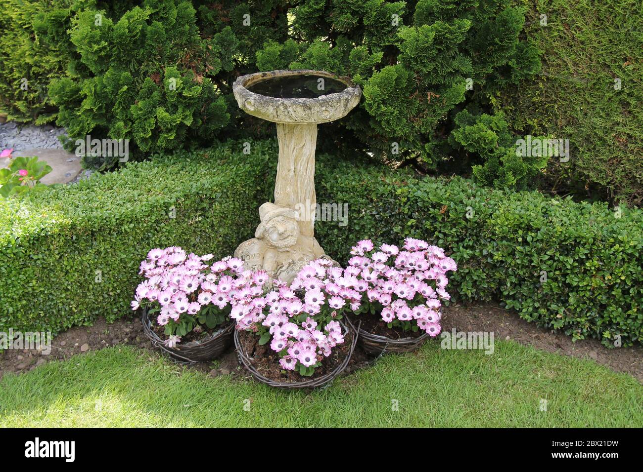 A Stone Bird Bath in a Beautiful Garden Setting. Stock Photo