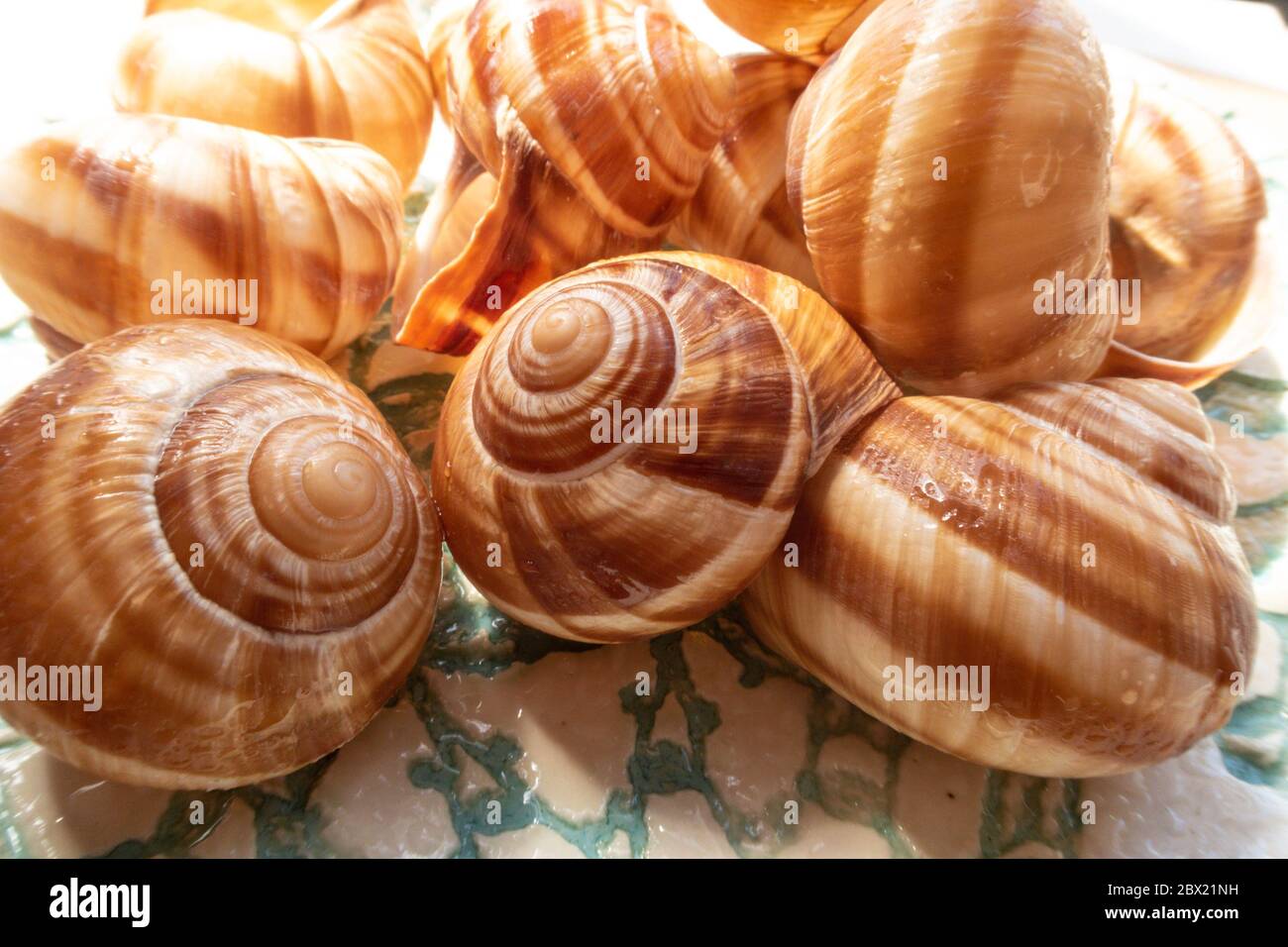 Escargot Plate Hi Res Stock Photography And Images Alamy