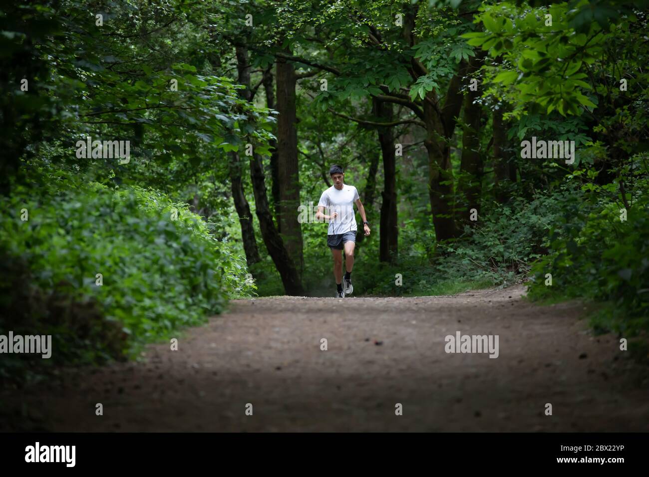 Limpsfield Chart, Surrey,UK, 4th June 2020,As lockdown eases less People venture out for their afternoon run on Limpsfield Common. The Weather Forecast is for 15C, light rain showers with a gentle breeze. Credit: Keith Larby/Alamy Live News Stock Photo