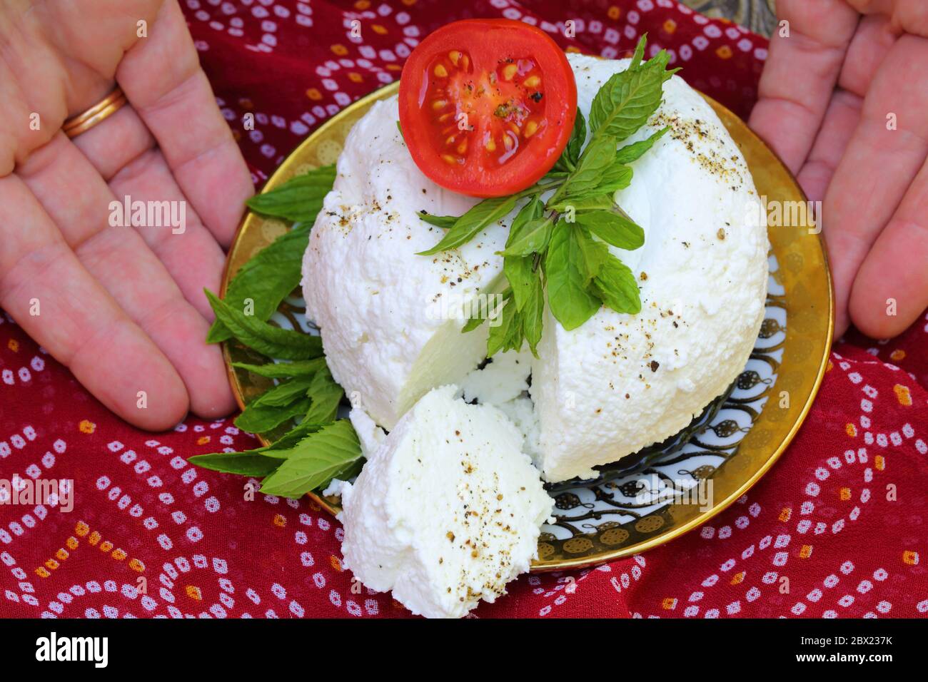 Paneer patties hires stock photography and images Alamy