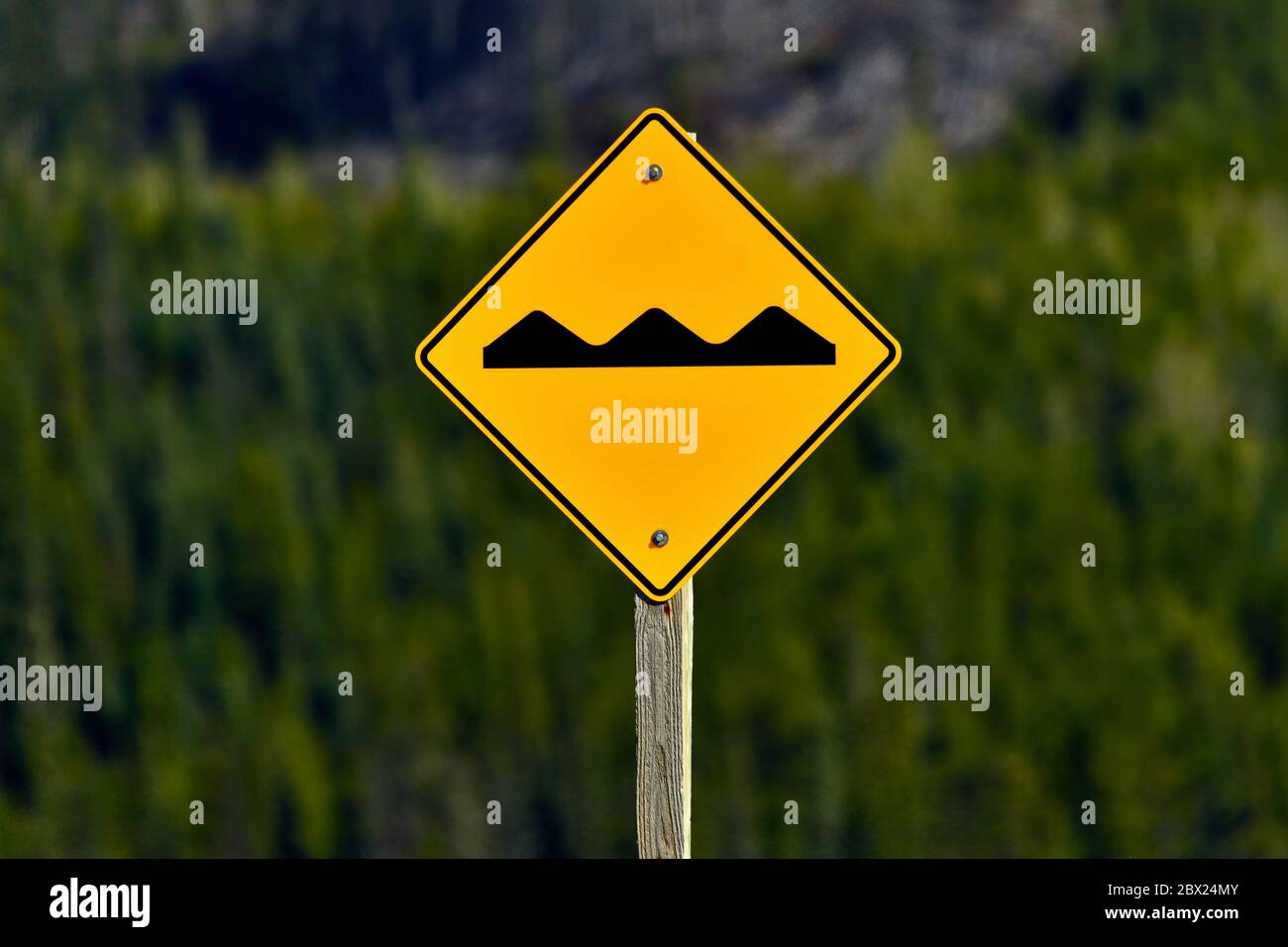 A bump sign on the road warning motorist that there is a bump on the oncoming road Stock Photo
