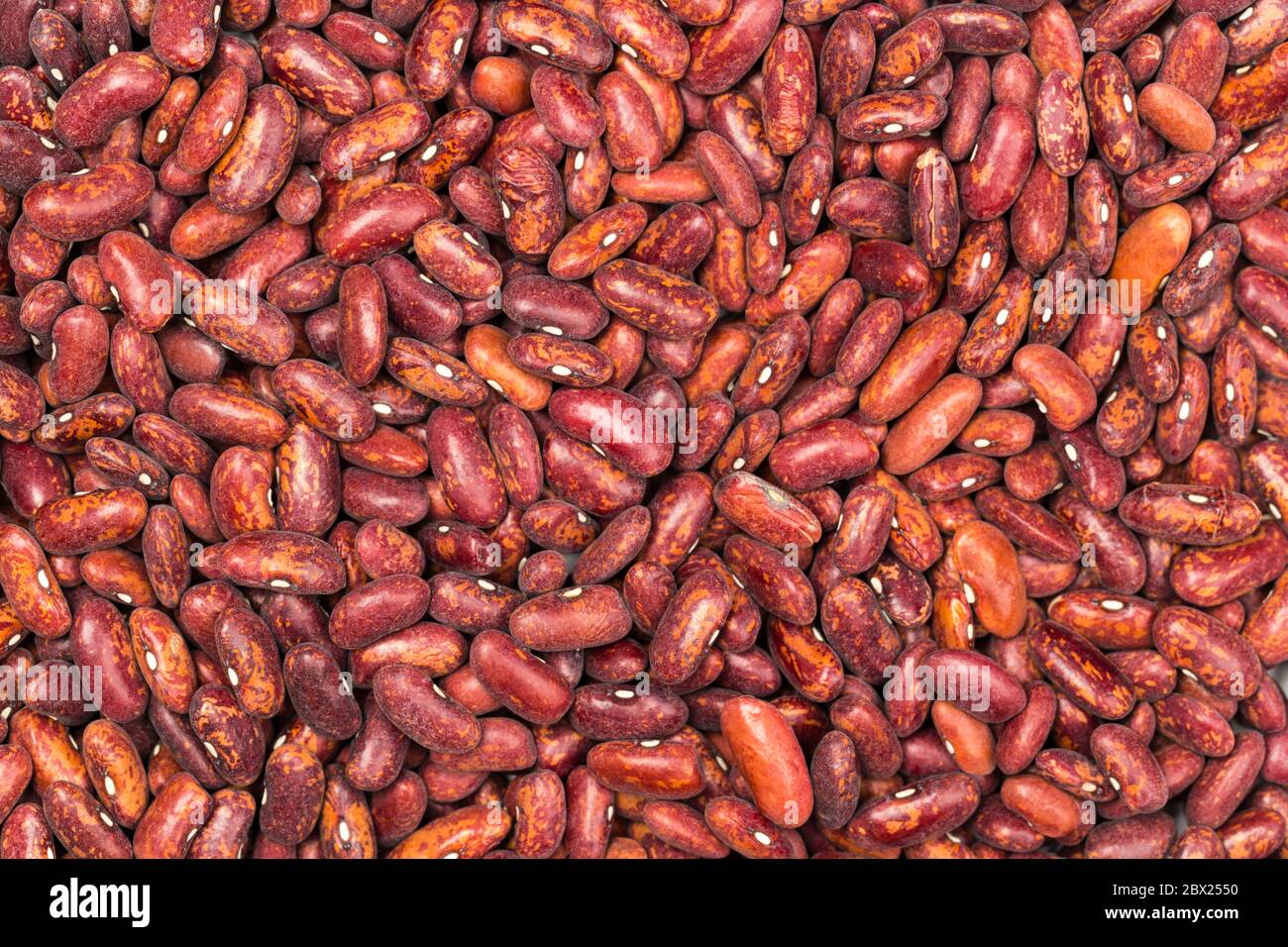 Red kidney bean texture background. Mexican Bean. A large, kidney-shaped bean with a subtle sweet flavor and soft texture that keep their shape during Stock Photo
