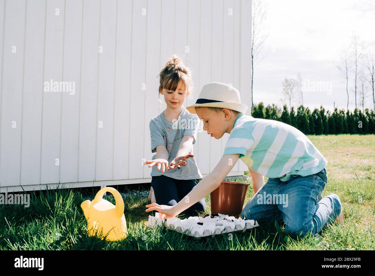 siblings planting seeds in egg shells at home together Stock Photo