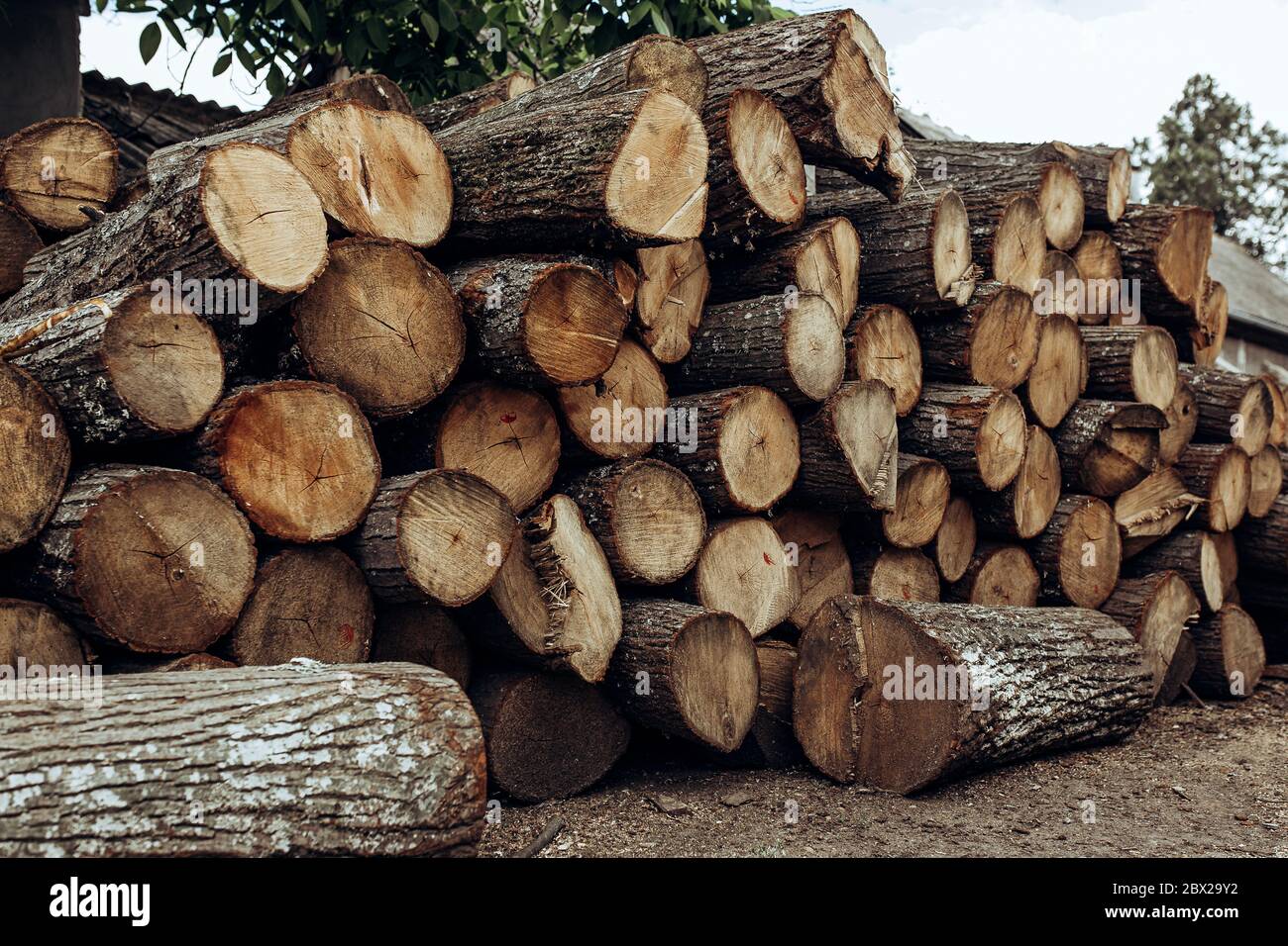 Piles of wooden boards in the sawmill, planking.  Stock Photo