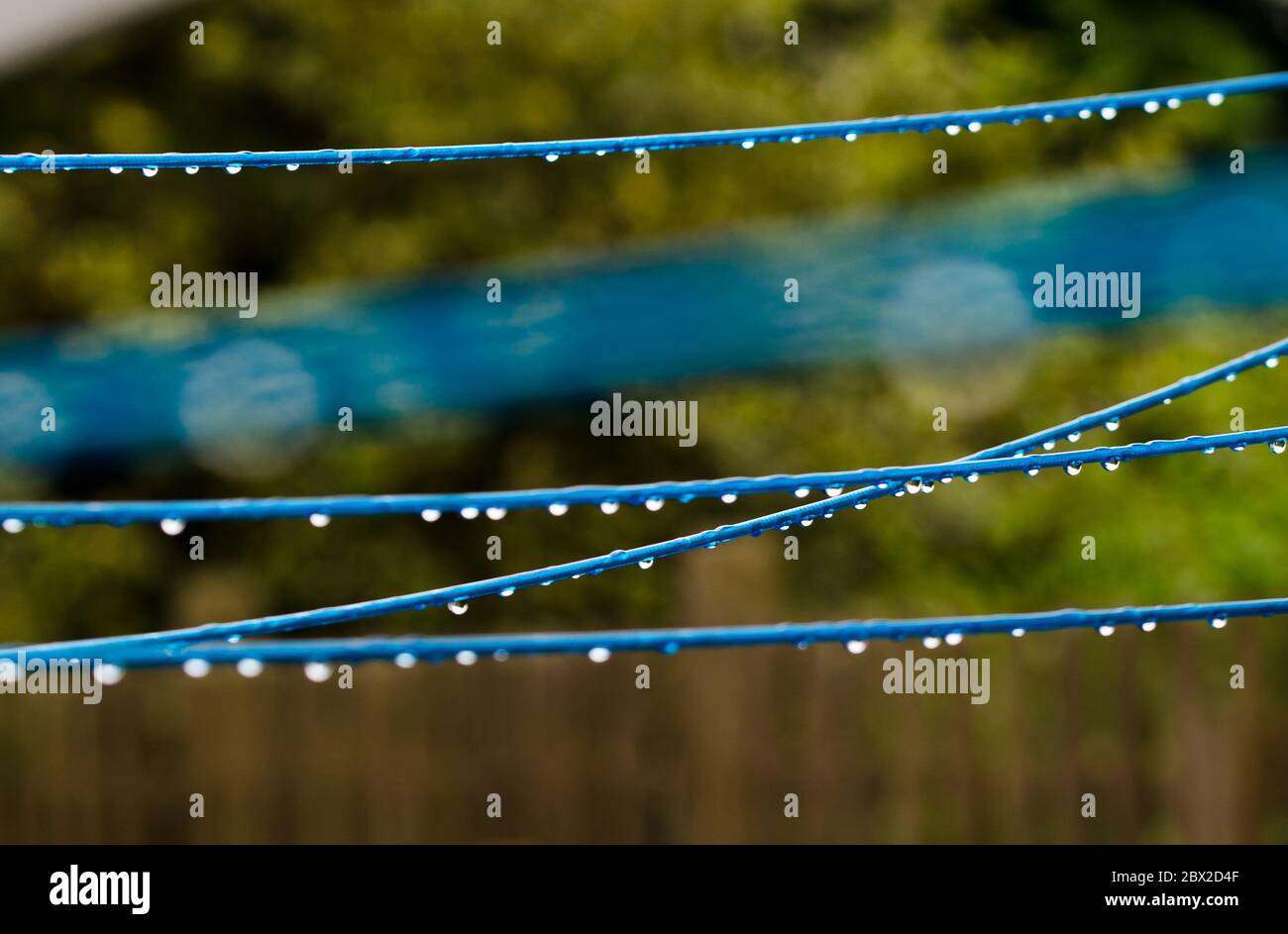 Blue clothing lines of a clothes spin with many raindrops at the string in  front of a green background, after the rain. Retro way of doing the laundry  Stock Photo - Alamy