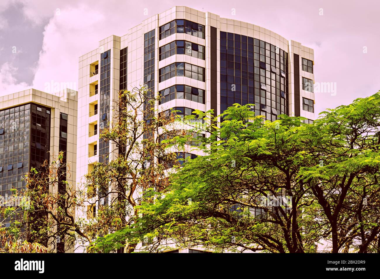 Ecobank Headquarters, Kigali (Umujyi Wa Kigali) (+250 788 161 000)