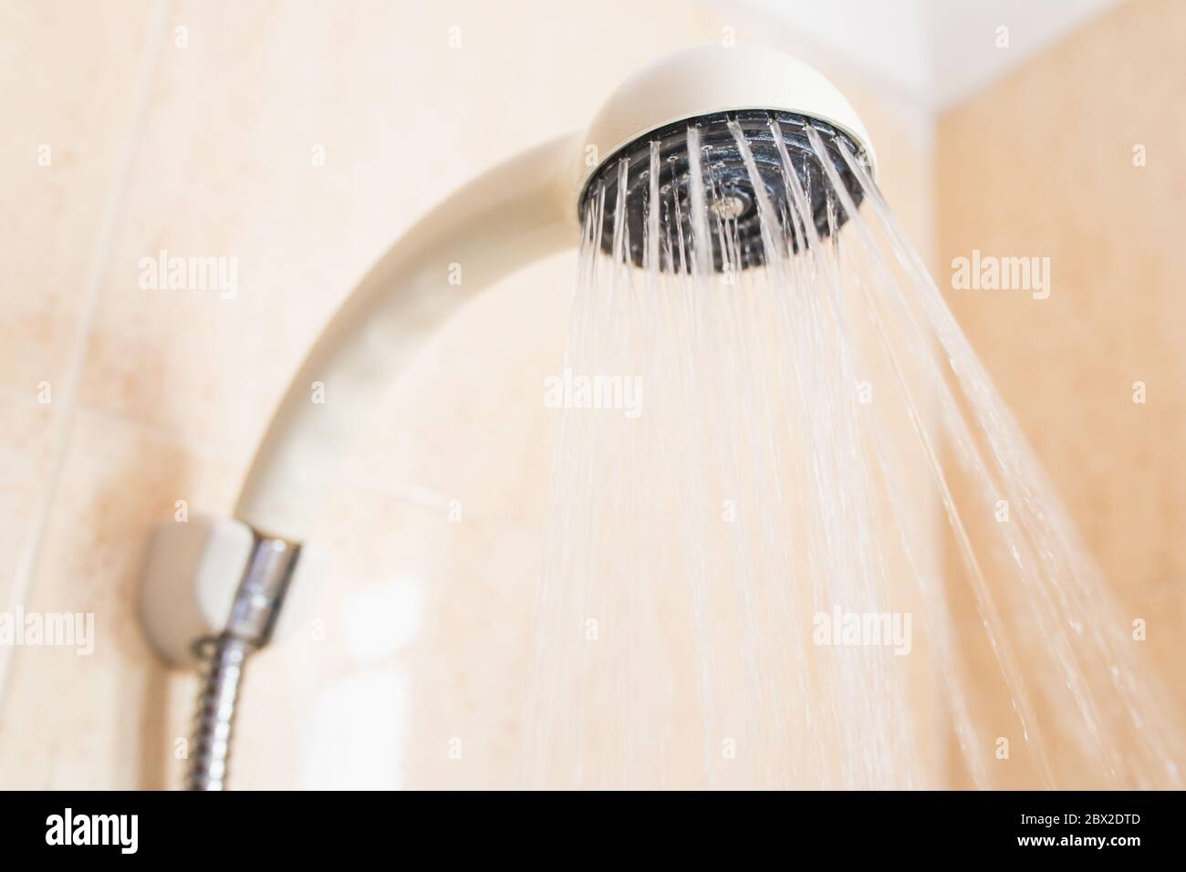 Closeup of a shower watering can in the bathroom Stock Photo Alamy
