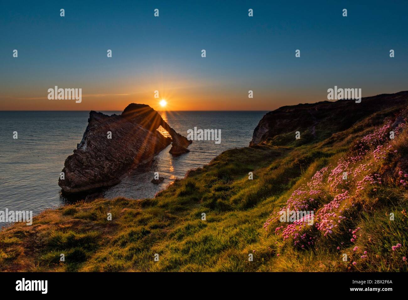 BOW FIDDLE ROCK PORTKNOCKIE THE MORAY COAST SCOTLAND MAY MORNING SUNRISE AND SUN RAYS WITH PINK SEA THRIFT FLOWERS Armeria maritima ON THE CLIFFS Stock Photo