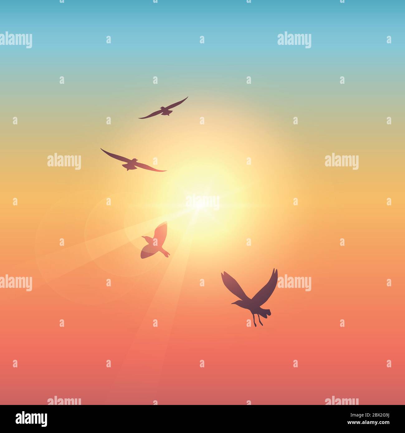flying birds in sunny colorful sky vector illustration EPS10 Stock ...