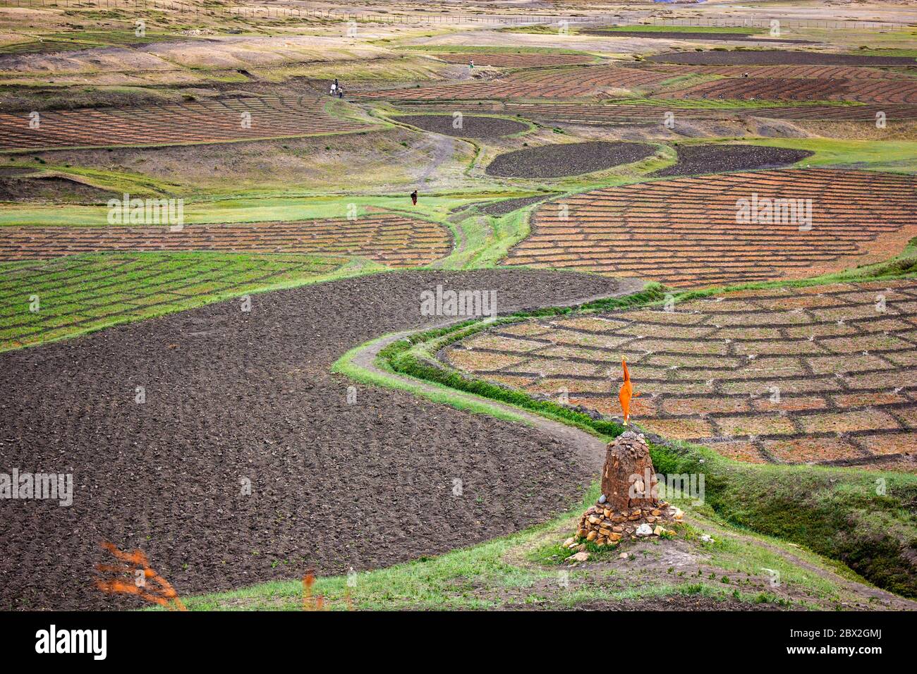The beautiful patterns of the green fields in the Himalayan village of