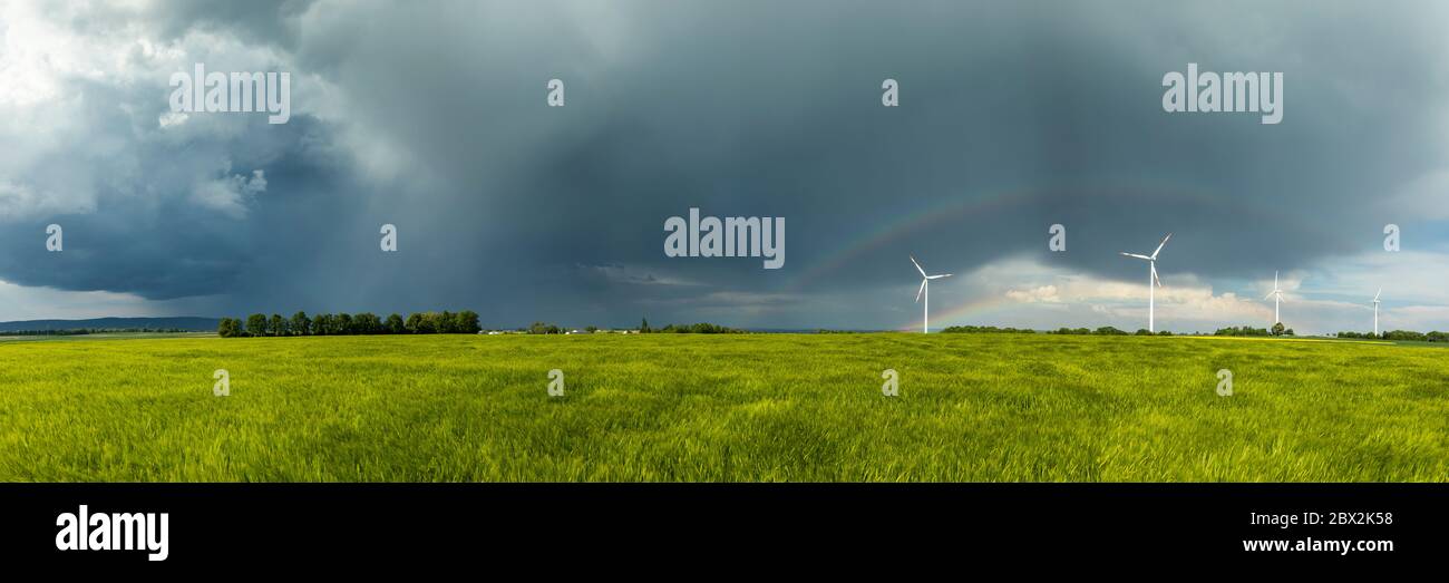 Panorama of a rural landscape in spring with green wheatfields fields and wind turbines, Wetterau, Hesse, Germany Stock Photo