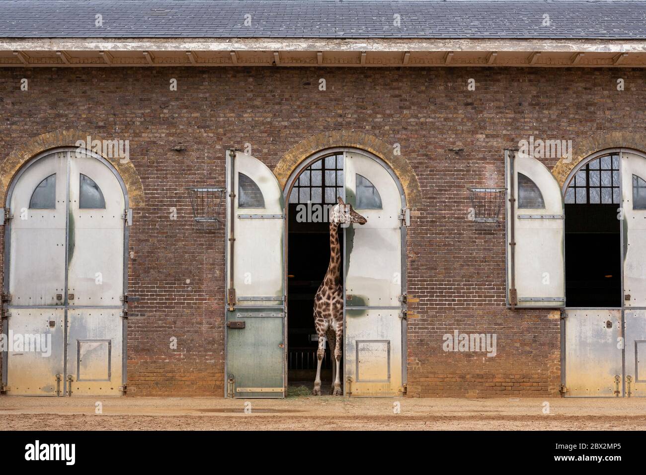 The Giraffe House the Oldest Zoo Building in the World, London Zoo