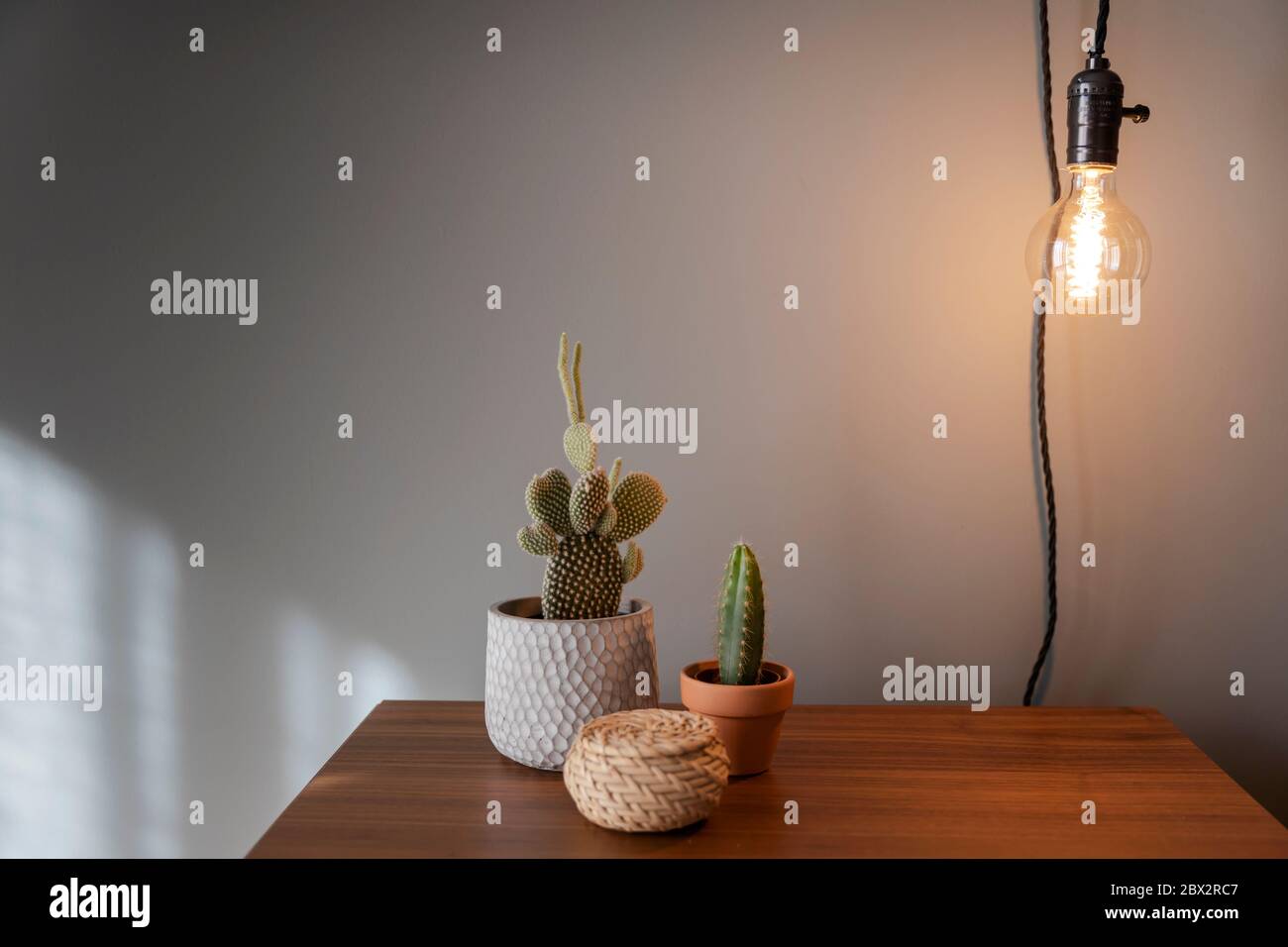 Cactus plants over a bedside table Stock Photo Alamy