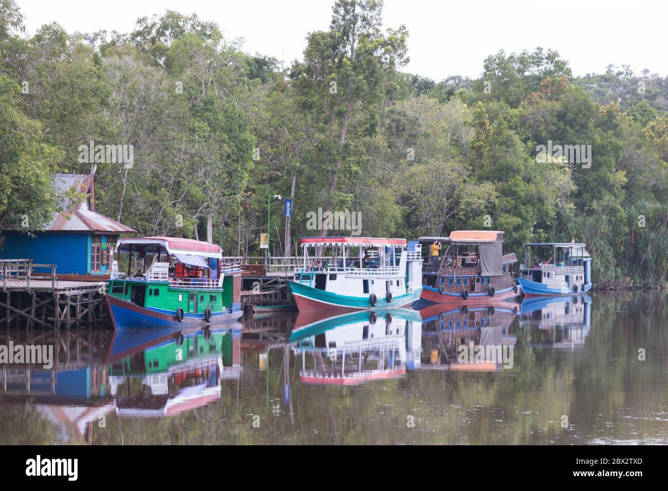 Tanjung puting national park rimba hires stock photography and images Alamy