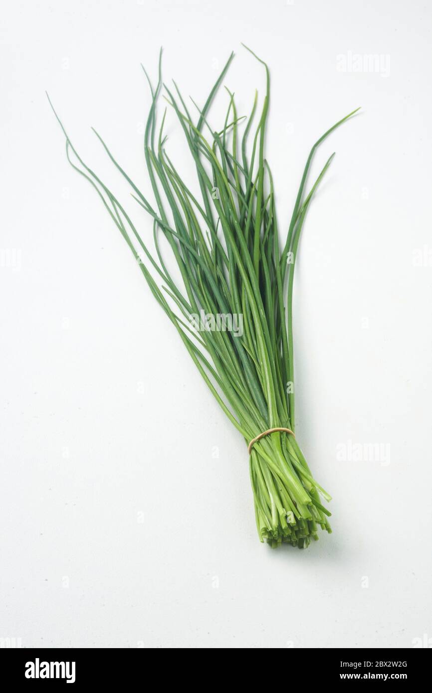 Bunch chives Stock Photo