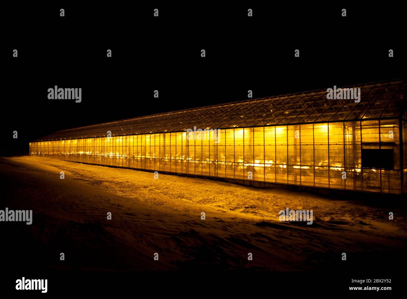 Iceland, Hveragerdi geothermal greenhouses at night, arctic winter, greenhouses provide 55% of fruits and vegetables and 45% of flowers in the local market Stock Photo