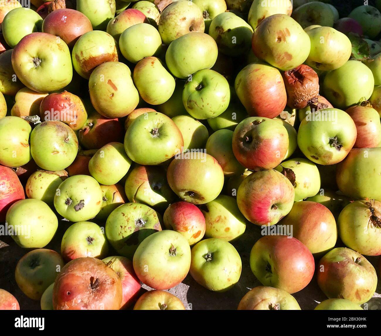 Rotting produce farm hi-res stock photography and images - Alamy