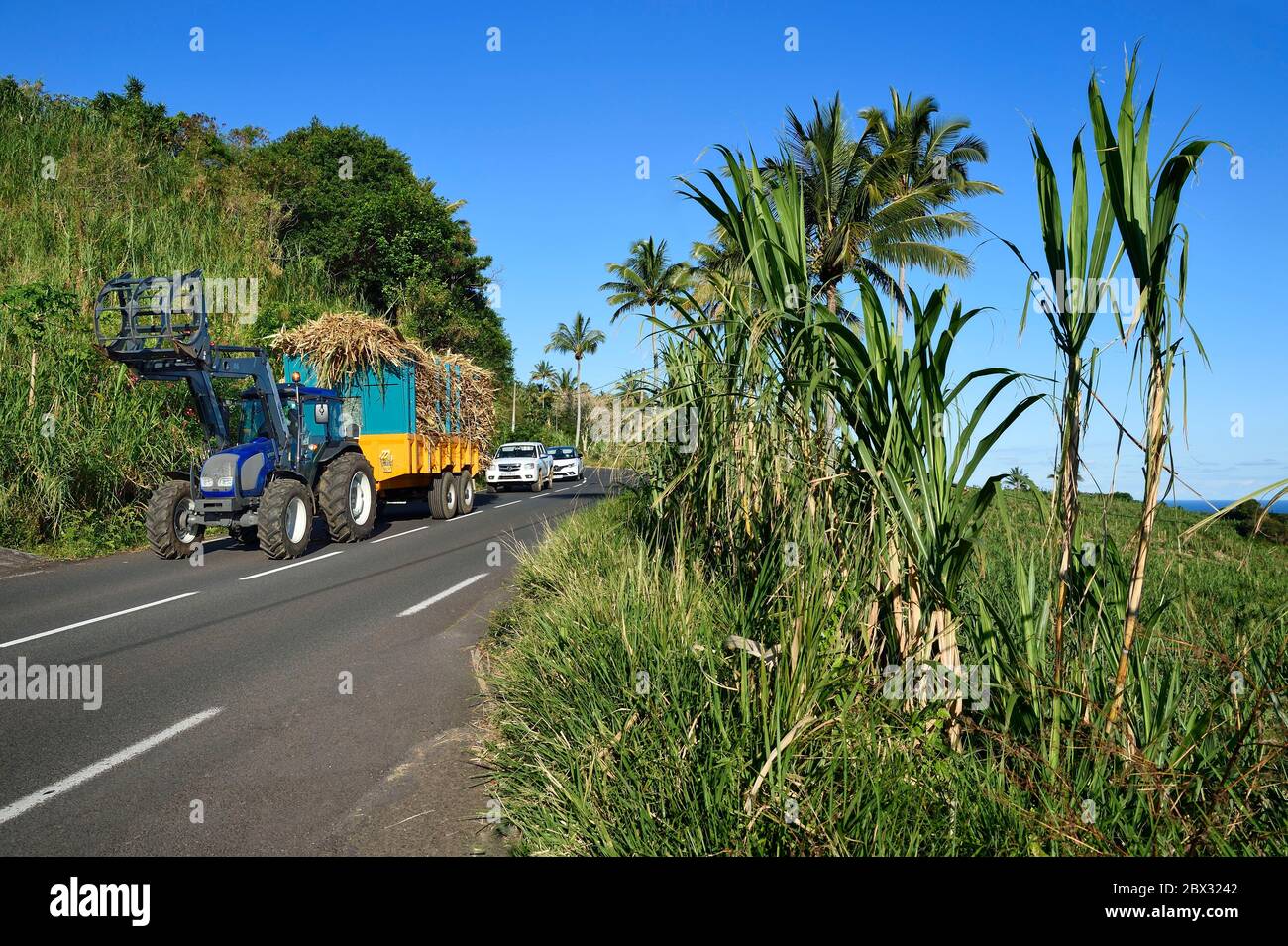 France, Reunion island (French overseas department), Saint-Philippe, tractor carrying a sugarcane trailer Stock Photo