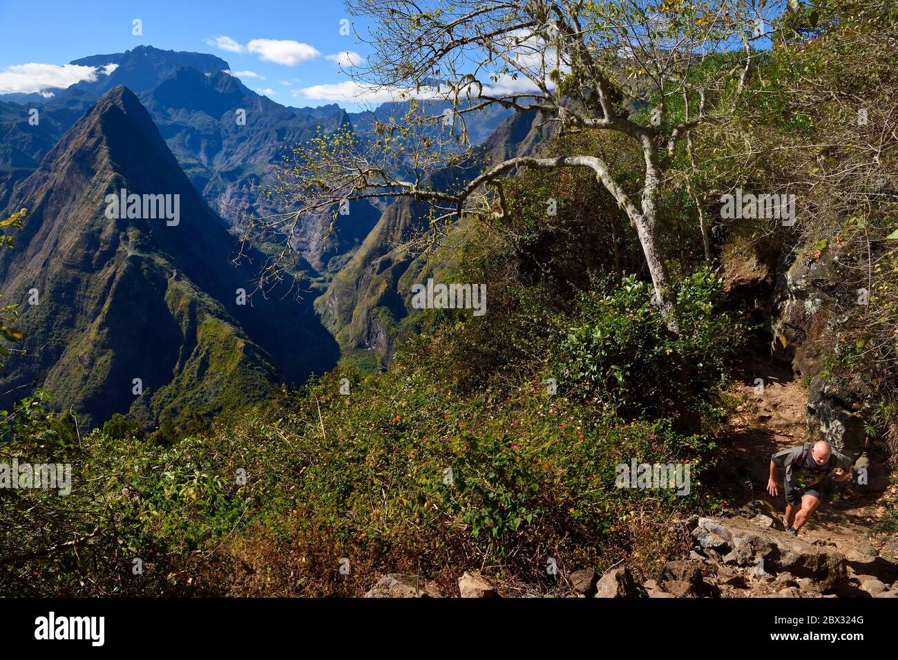 France, Reunion island (French overseas department), Reunion National Park listed as World heritage by UNESCO, La Possession, around village of Dos d'Ane, Roche Bouteille hike, hiker on the Cap Noir trail and Piton Cabris in the Cirque de Mafate on the left Stock Photo