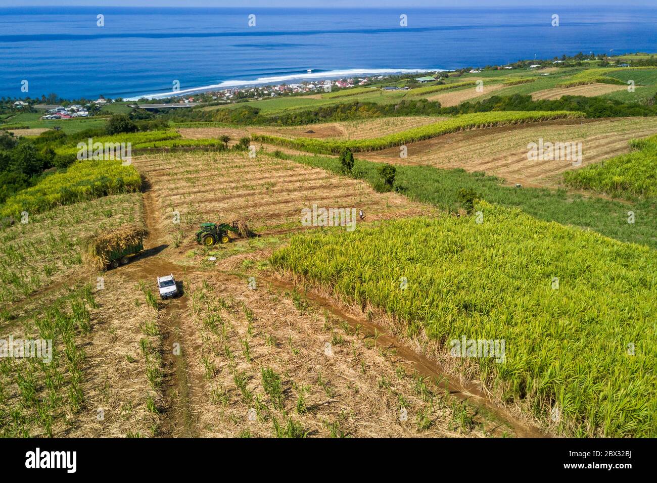 France, Reunion island (French overseas department), Petite-Ile, cutting and harvesting sugar cane (aerial view) Stock Photo