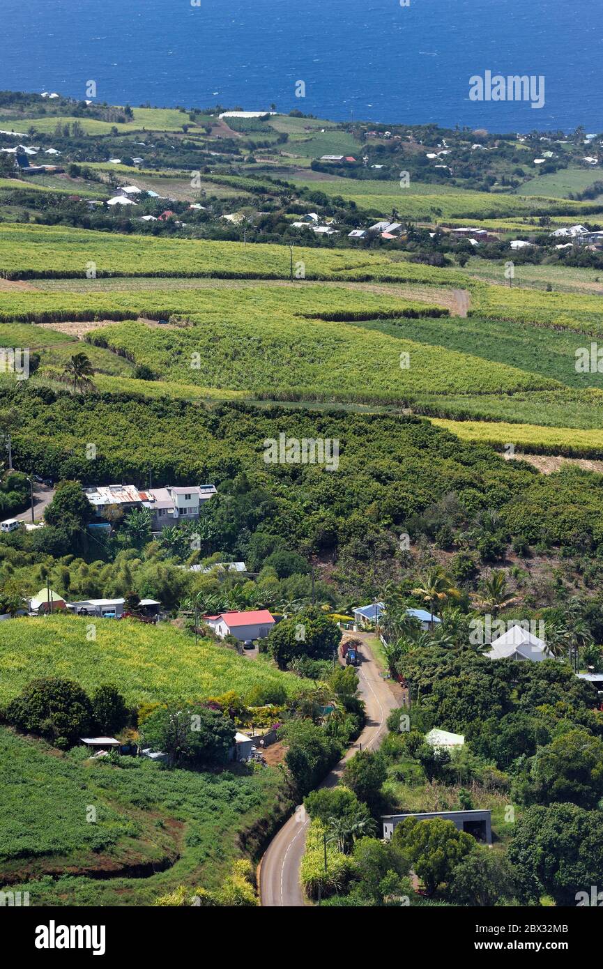 France, Reunion island (French overseas department), Petite Ile, sugar cane  fields towards Anse-les Bas seen from the peak of Mont Vert Stock Photo -  Alamy