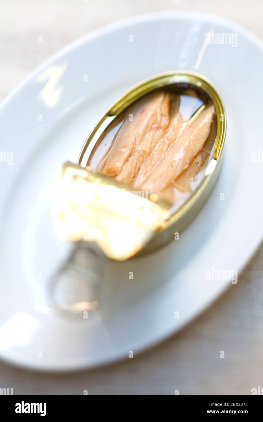 Spain, Galicia, canned Ramon Pena, tuna fillet in oil Stock Photo Alamy