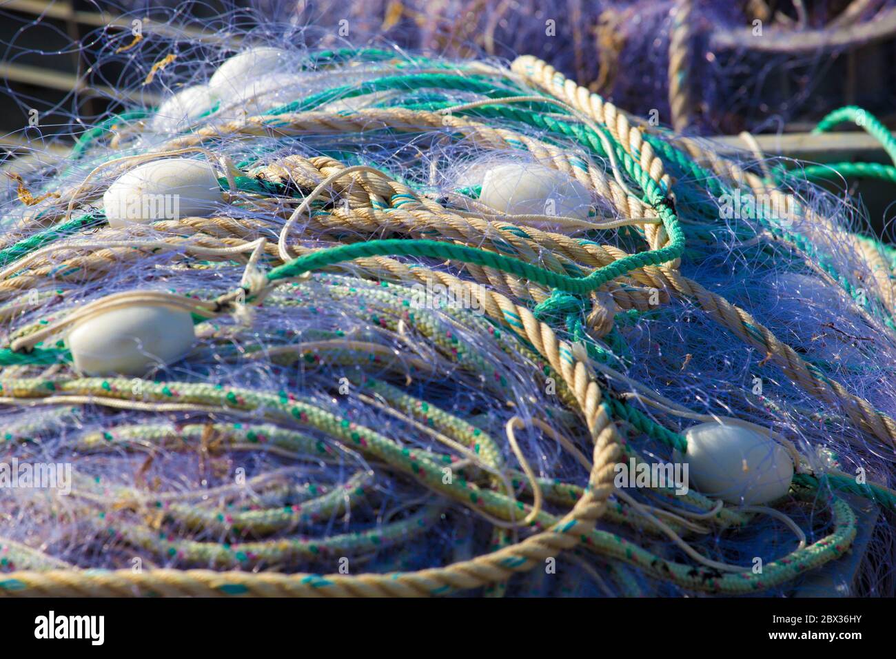 France, Charente-Maritime (17), Filets de pêche au port du Chapus, Bourcefranc-le-Chapus Stock Photo