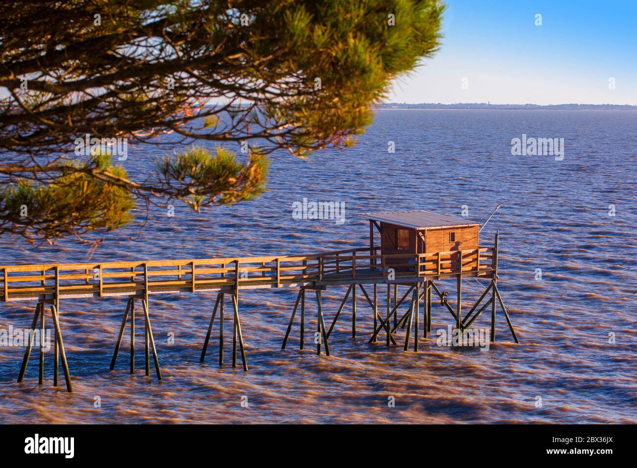 France, CharenteMaritime (17), PortdesBarques, cabane sur pilotis