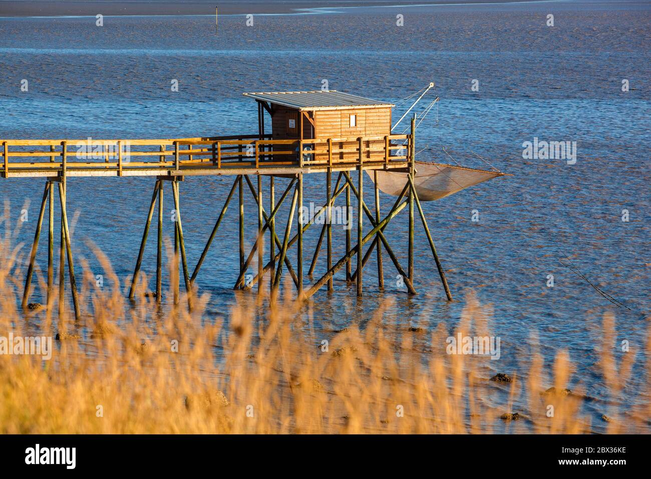 France, CharenteMaritime (17), PortdesBarques, cabane sur pilotis