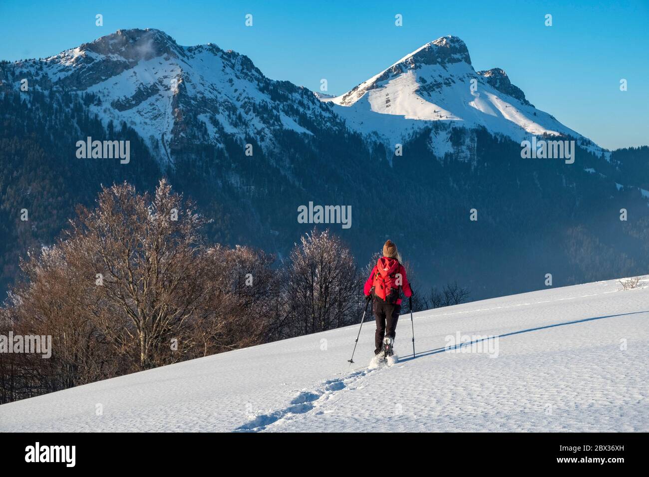 France, Savoie, Bauges massif, Aillons-le-Jeune, snowshoe snowshoe on the crest of Aillons, in the background Mont Colombier (2045m) Stock Photo