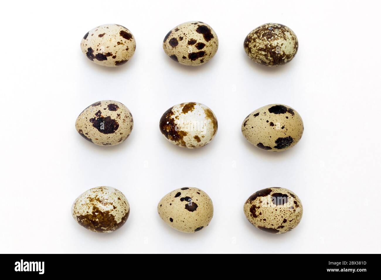 quail eggs in row on white background, top view Stock Photo