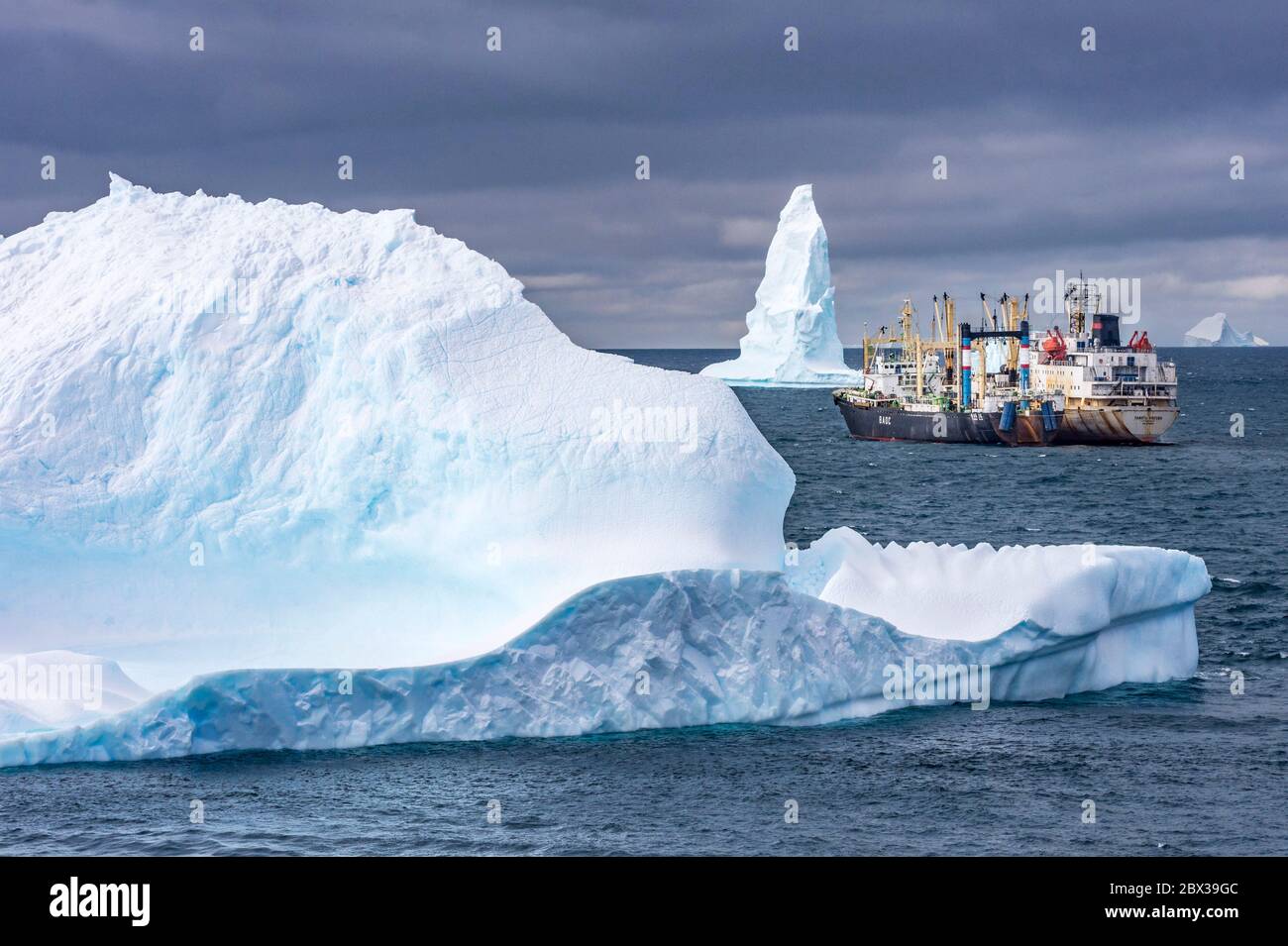 Polar regions, Antarctica, South Orkney Islands, Signy Island, Southern Ocean, krill fishing boat between icebergs Stock Photo