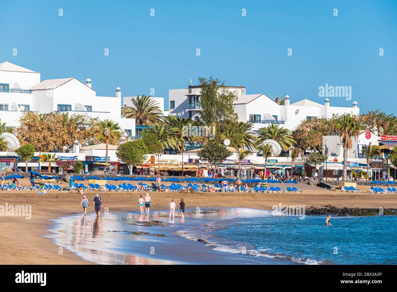 Download Los Picolos Background