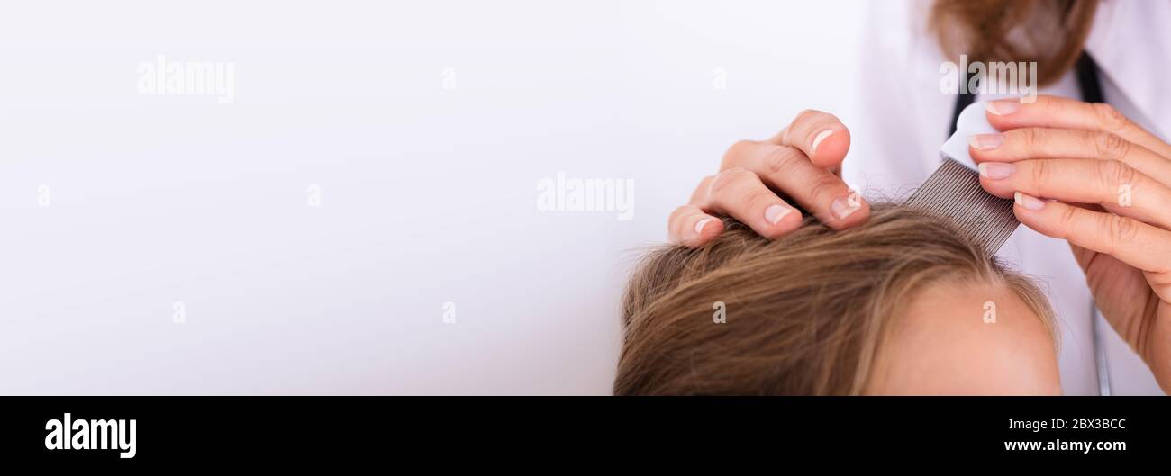 Doctor Checking Child Head Hair After Lice Treatment Stock Photo Alamy
