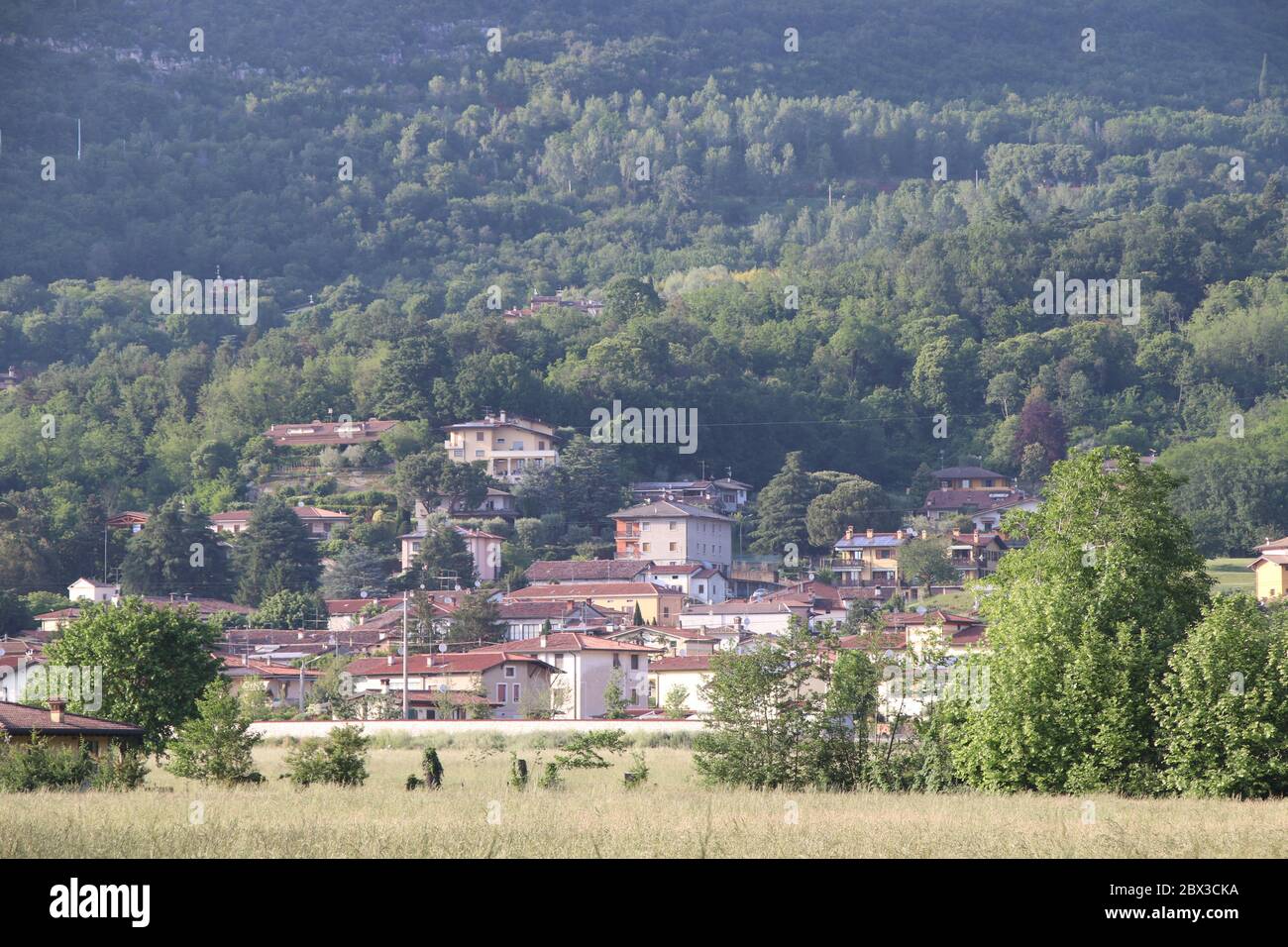 Picture of Botticino