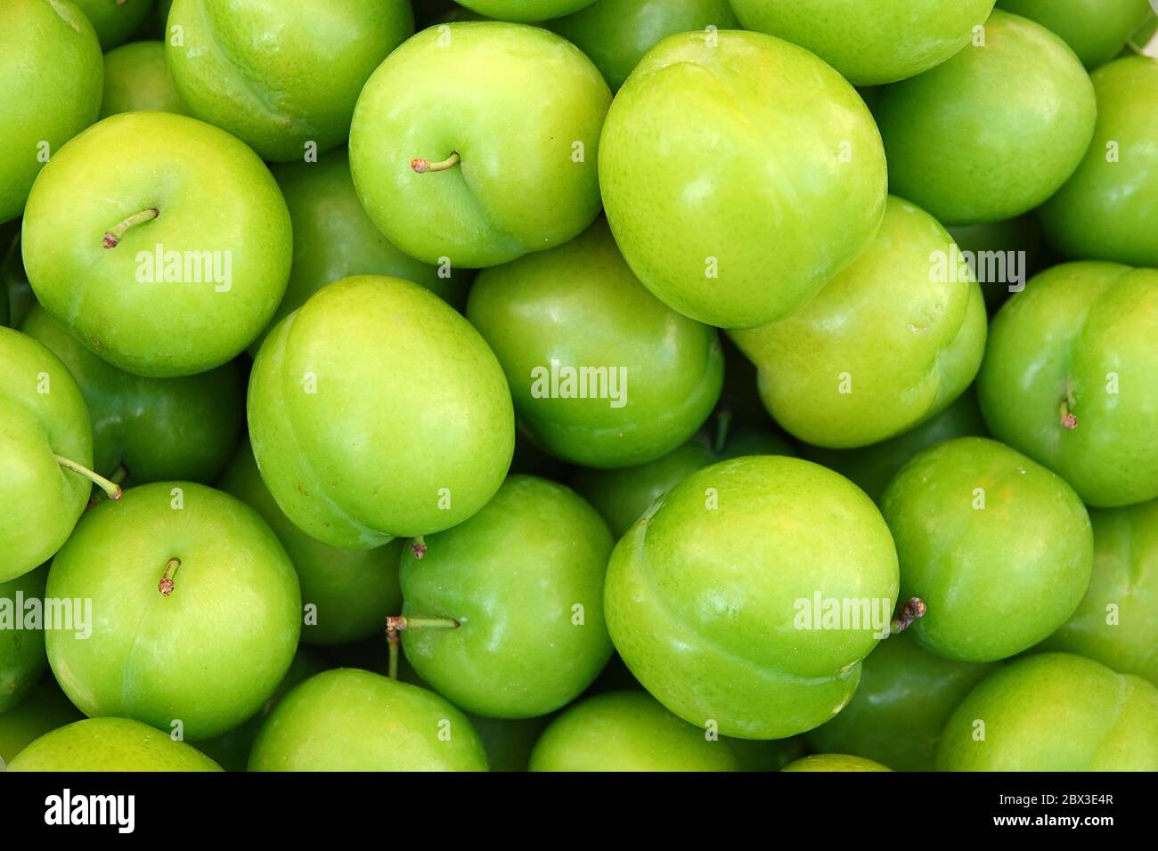 Organic Fruit So Sour Plum High Detailed and Looks So Juicy Stock Photo