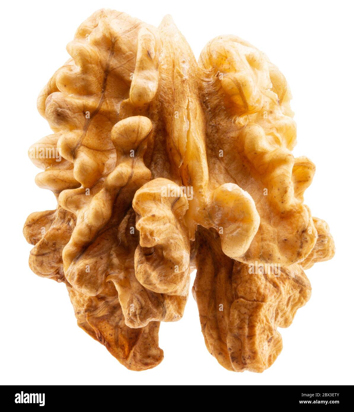 walnut without shell isolated on a white background. Stock Photo