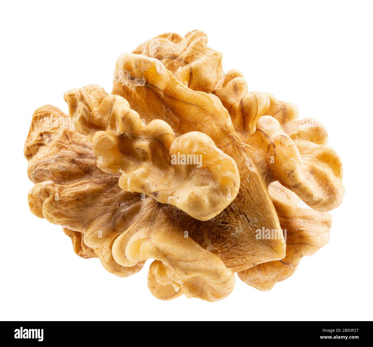 walnut without shell isolated on a white background. Stock Photo