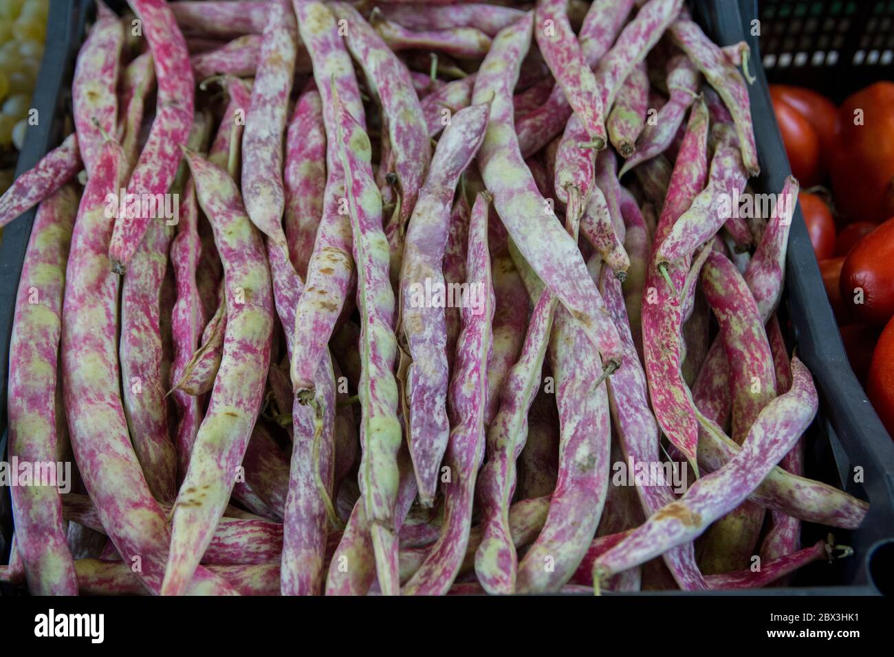 Cranberry bean hires stock photography and images Alamy