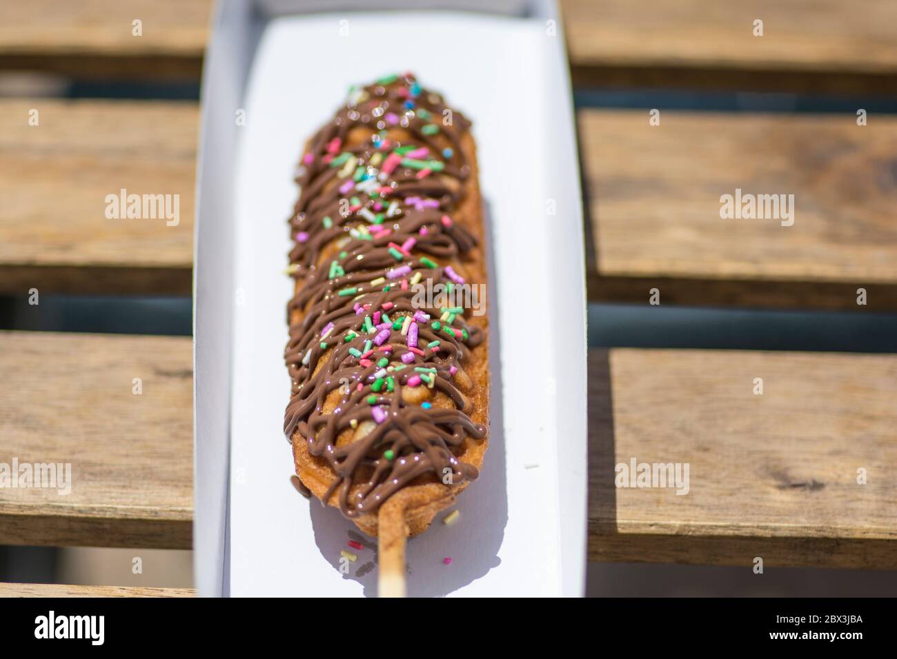 A waffle on a stick covered with chocolate and colorful candies