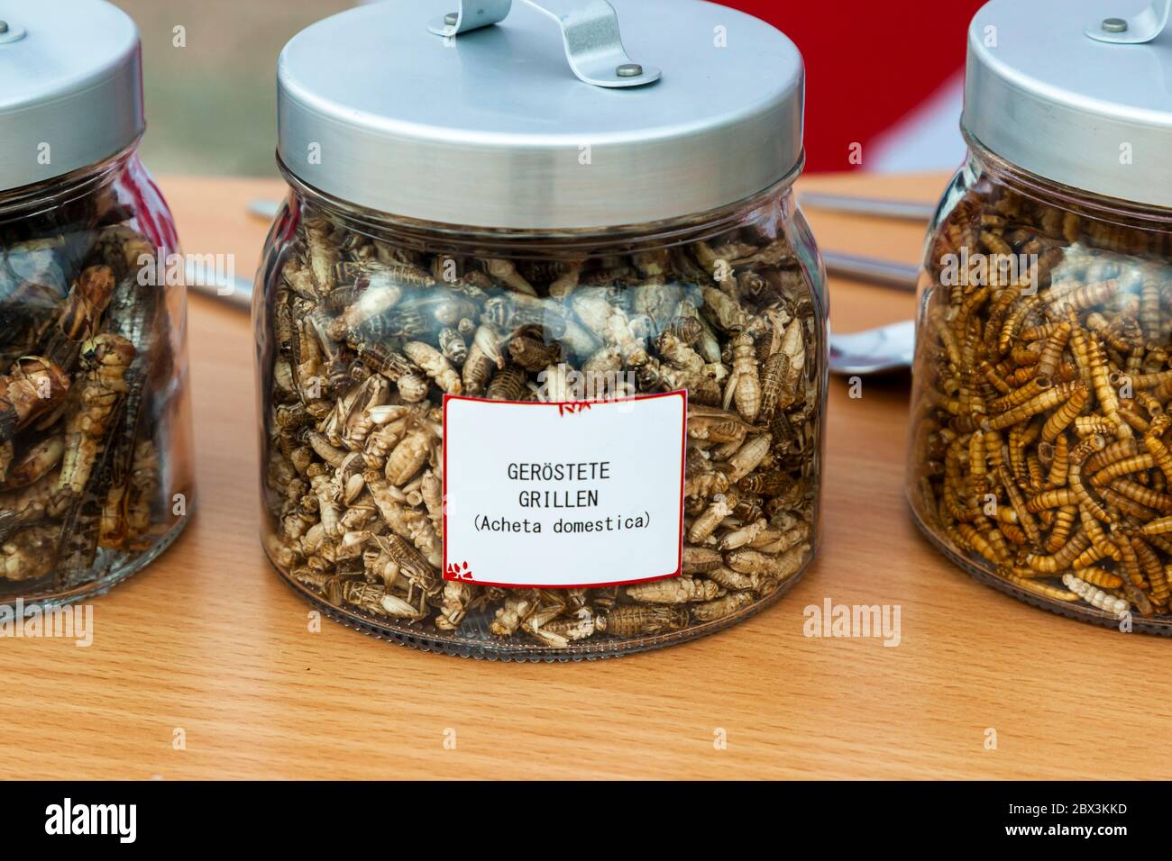 Roasted crickets (Acheta domestica) in a jar. Delicatessen made of Insects in Cologne, Germany Stock Photo