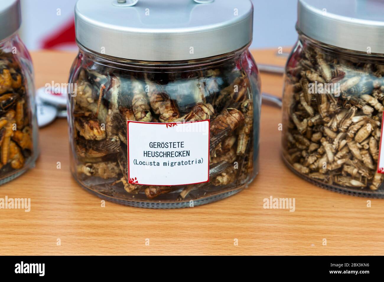 Roasted grasshoppers (Locusta migratoria) in jar. Delicatessen made of Insects in Cologne, Germany Stock Photo