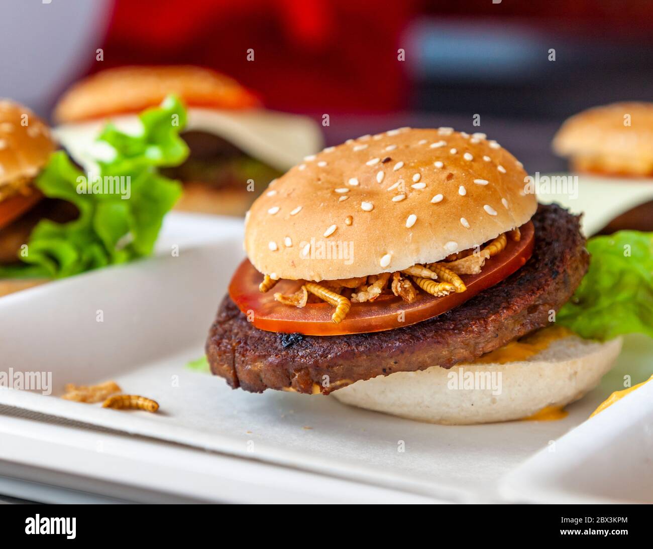 Mealworm burger. Delicatessen made of Insects in Cologne, Germany Stock Photo