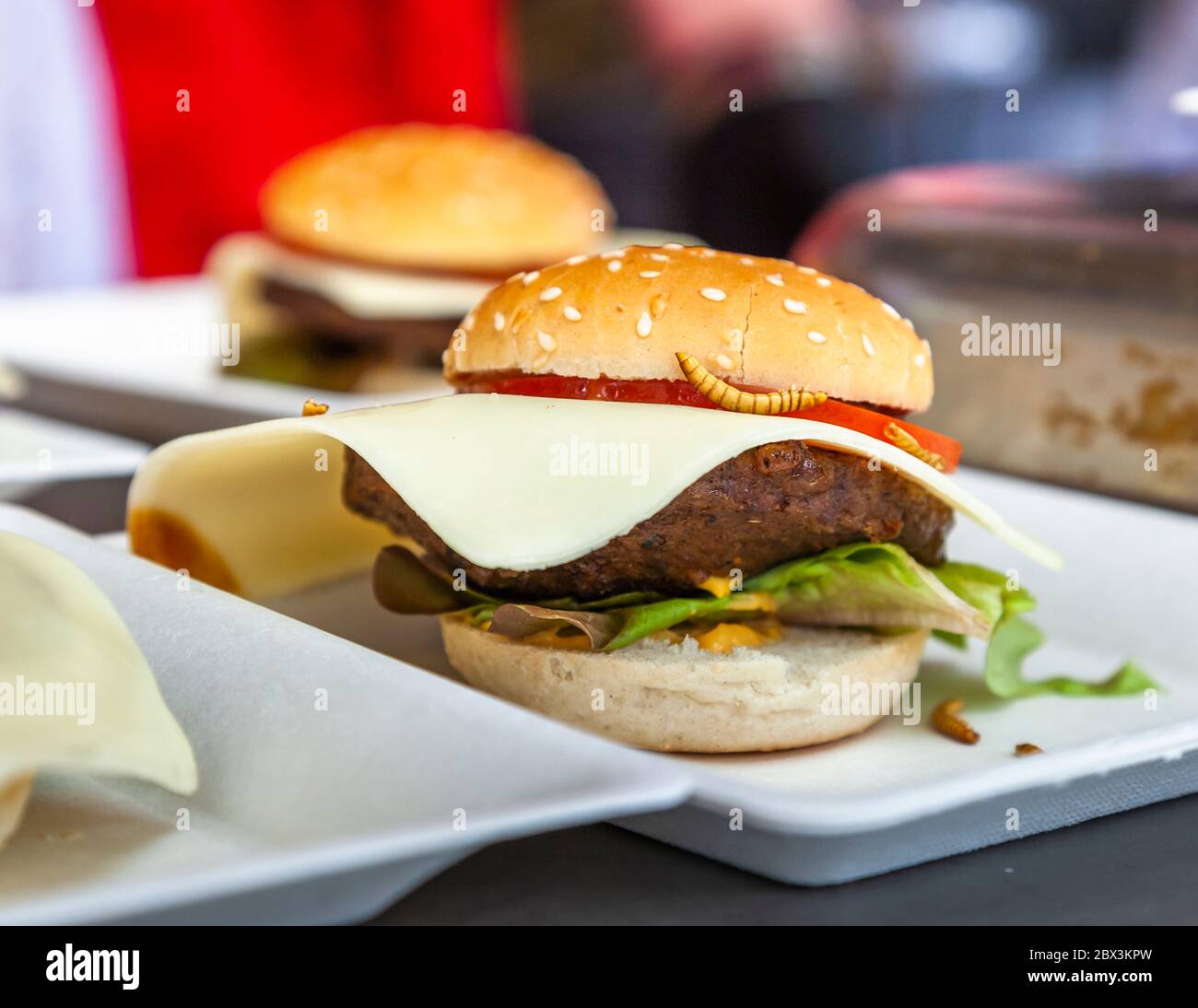 Mealworm burger. Delicatessen made of Insects in Cologne, Germany Stock Photo