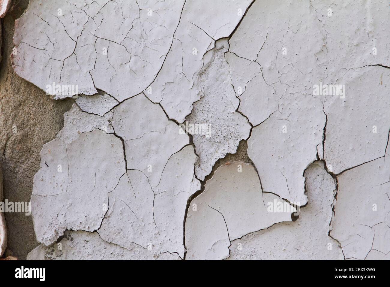Old flaky cracked paint on gray wall, old paint background, selective focus Stock Photo