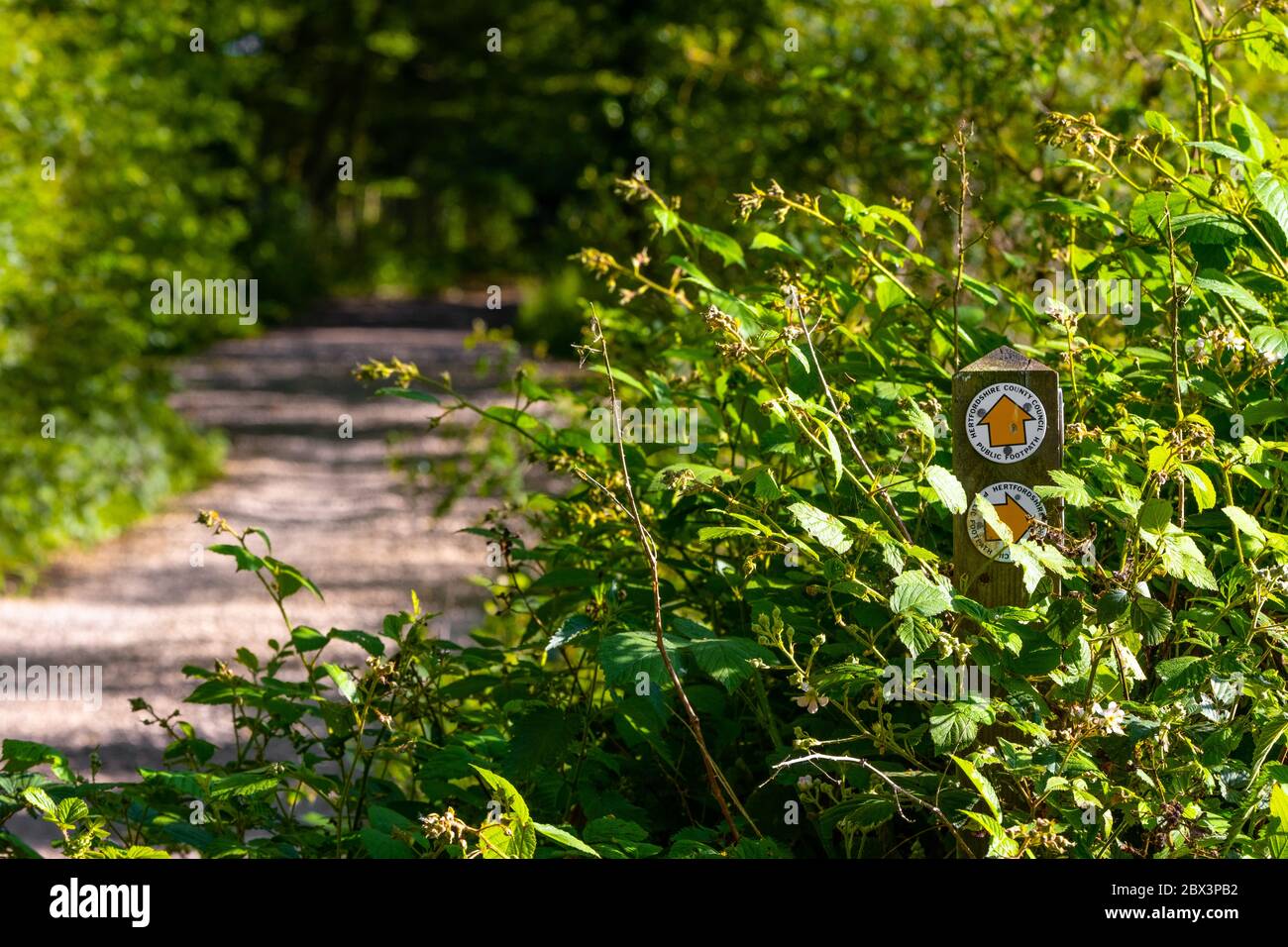 Footpath marker arrow hi-res stock photography and images - Alamy