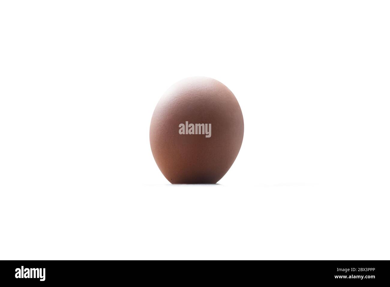 close up of single chicken egg isolated on white background Stock Photo ...